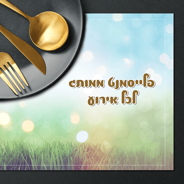 פלייסמנטים